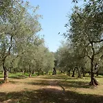 La Leccina * Erchie (Apulia)