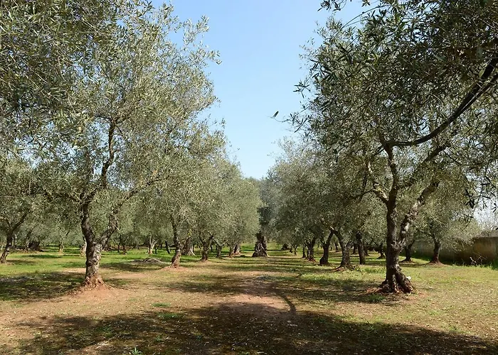 La Leccina * Erchie (Apulia)